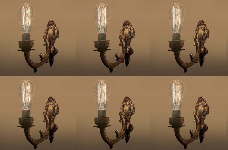 Shina Uplight Wall Lamp Without Bulb  (Pack of 6)