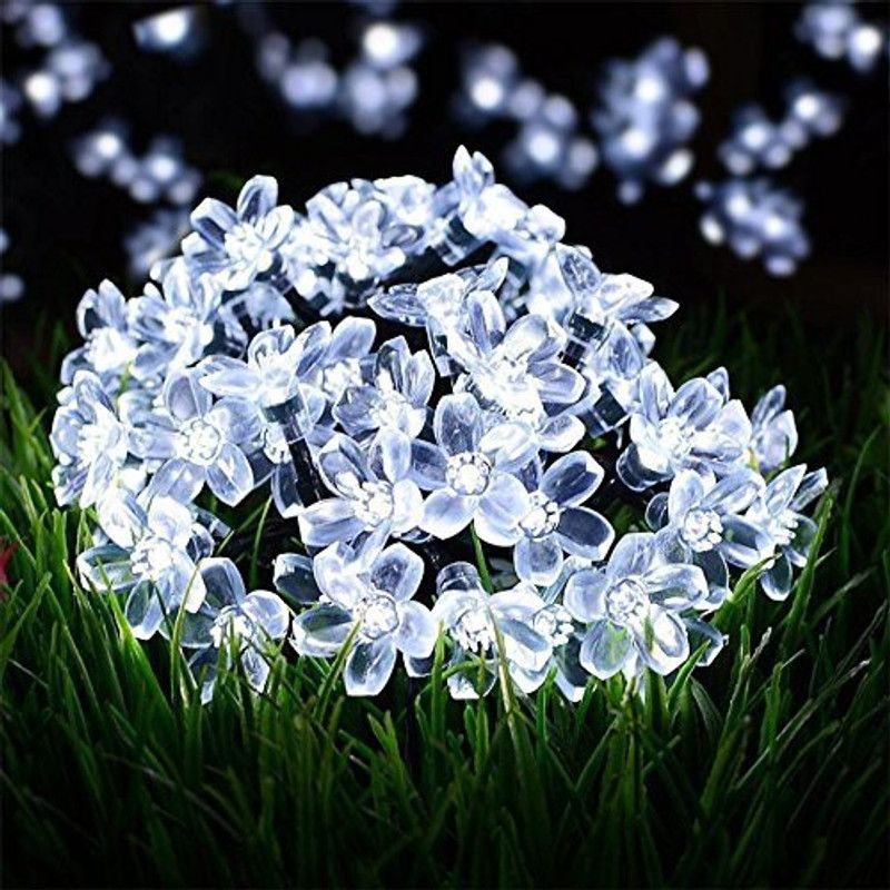 ADYM 20 LEDs 4 m White Rice Lights  (Pack of 1)