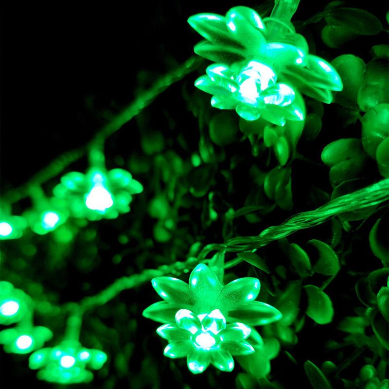 Infiprises 20 LEDs 4 m Green Rice Lights  (Pack of 1)