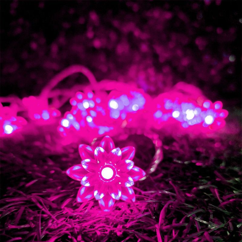 Infiprises 20 LEDs 4 m Pink Rice Lights  (Pack of 1)