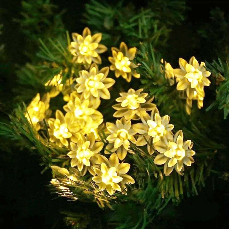 Infiprises 20 LEDs 4 m Gold Rice Lights  (Pack of 1)