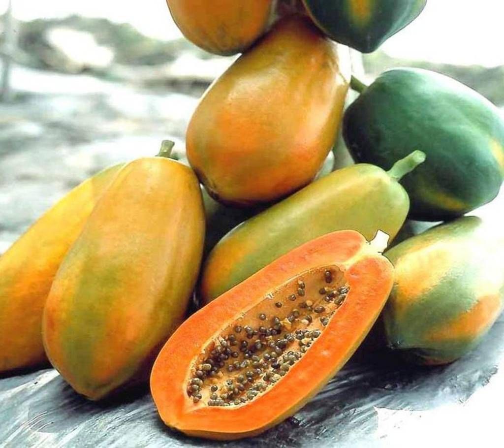 Fruit Papaya Seeds - 10 piece - Red Lady