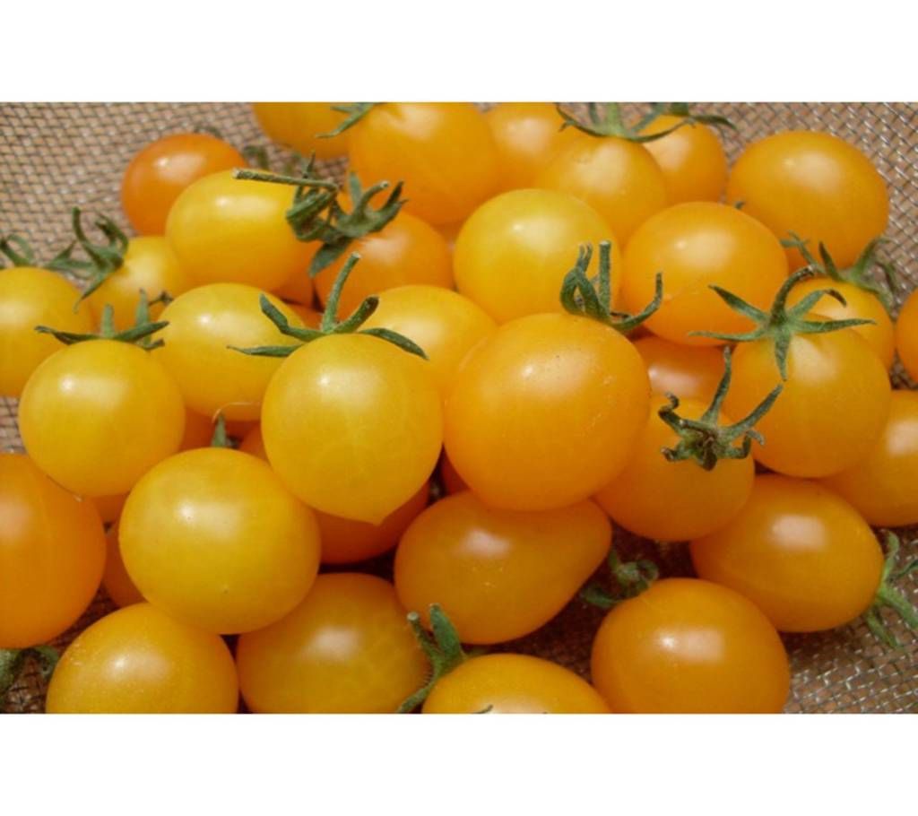 Cherry Tomato Seeds - 5pcs -Yellow- BD
