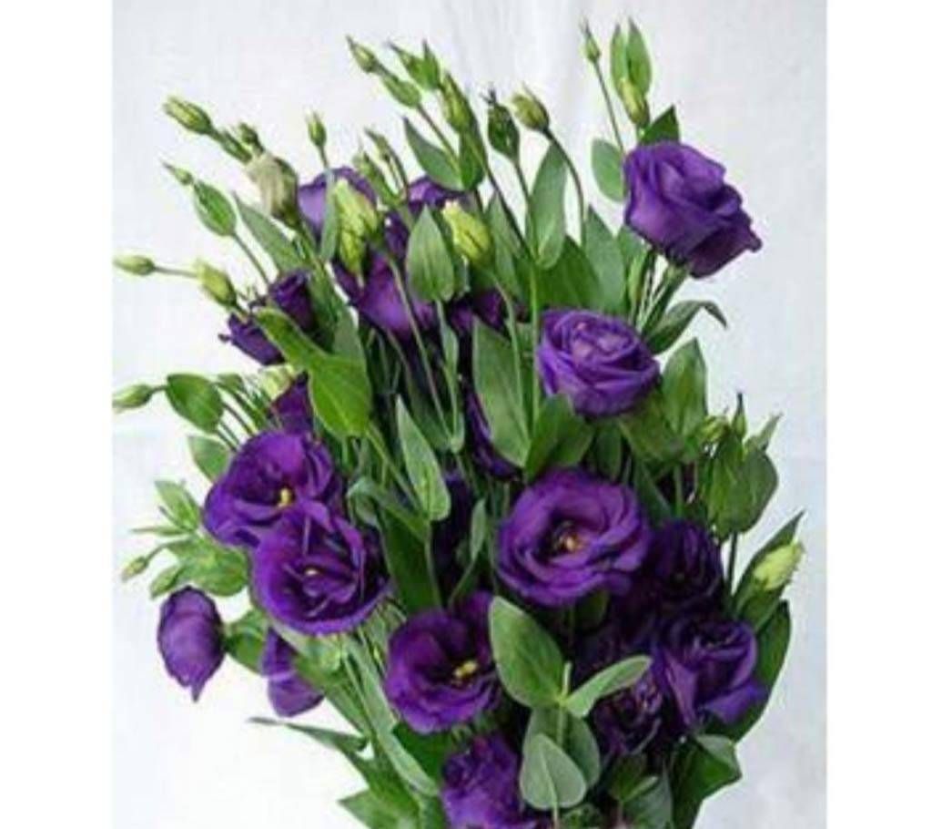Bonsai Purple Lisianthus Seeds 