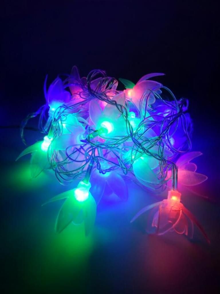Fairy Light