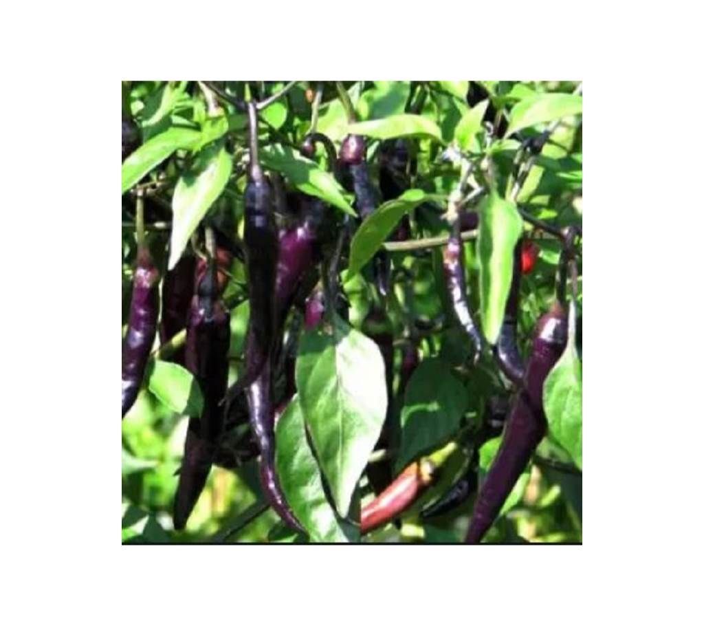 F1 Hybrid Deep Kali-6 Seed - 30 Pcs