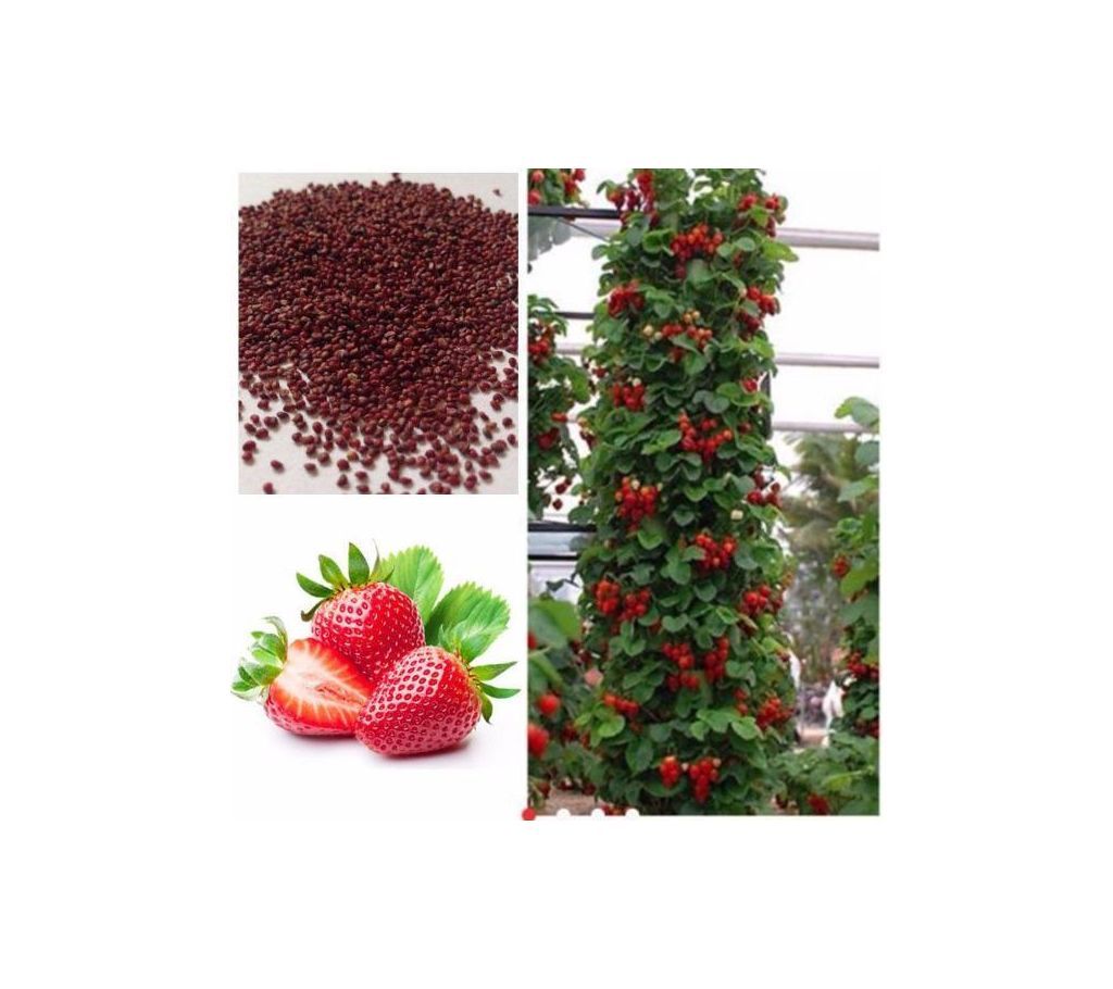 Strawberry Seeds (30 Seeds)