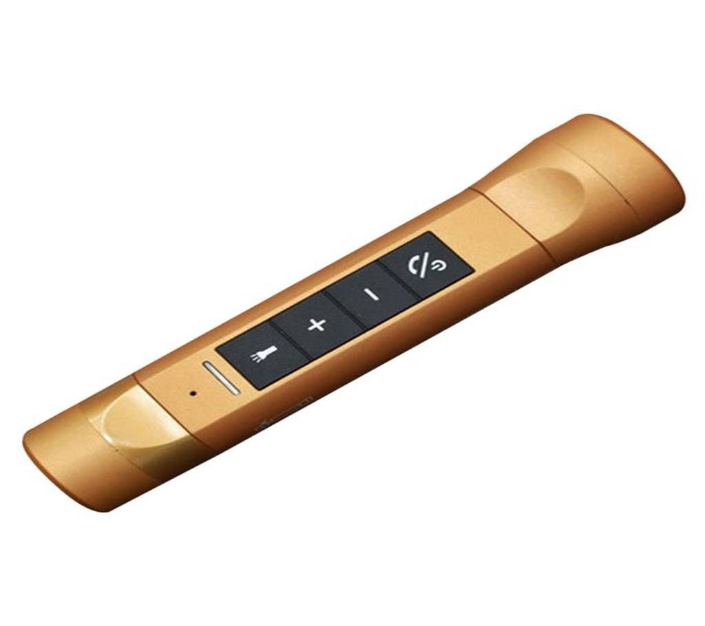 Multi-functional Music Torch With FM radio - Golde