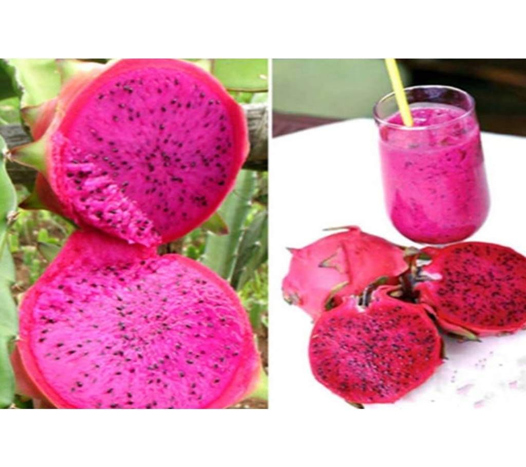 Pitaya Dragon Fruits Seeds