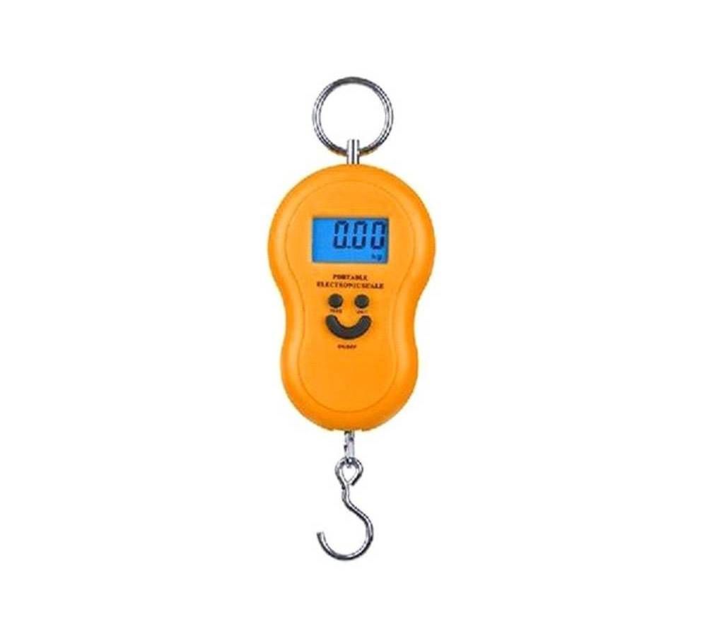 Portable Electronic Travel Scale 001