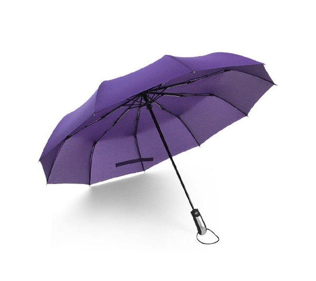 Auto Open Close Windproof Umbrella- Purle