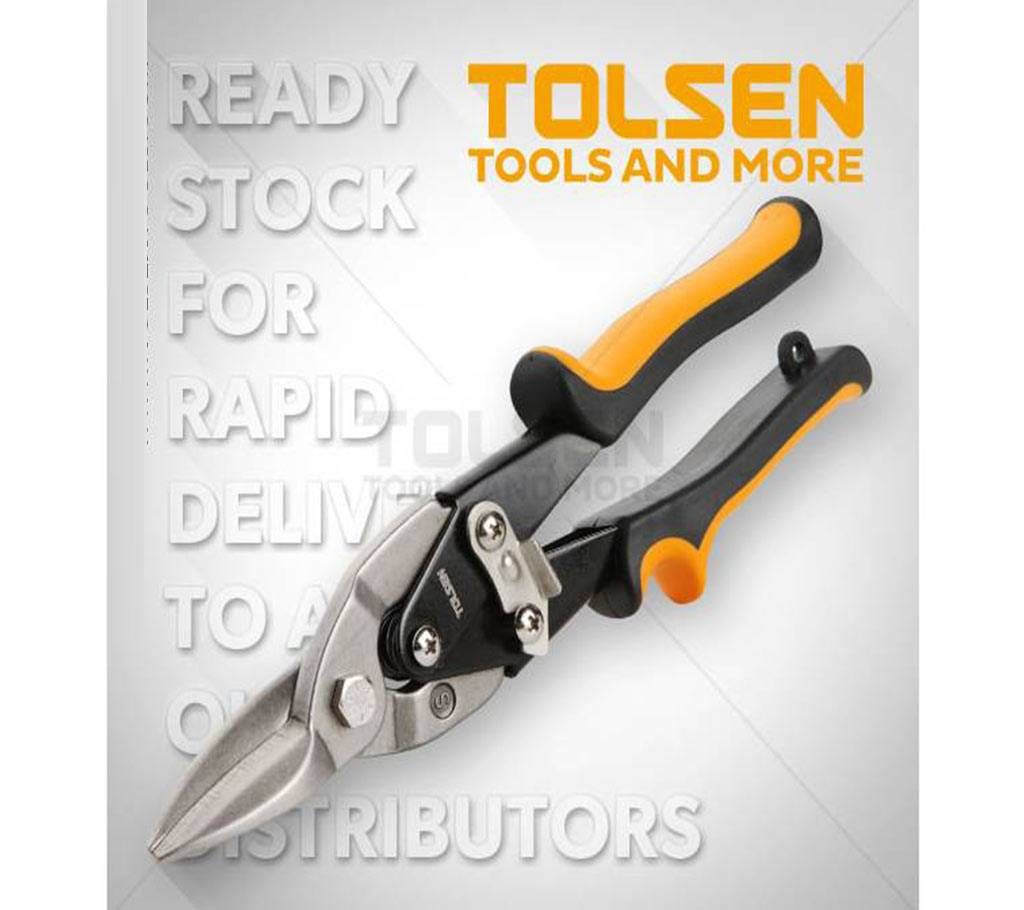 Tolsen Aviation Snips 10" (Straight) 30022