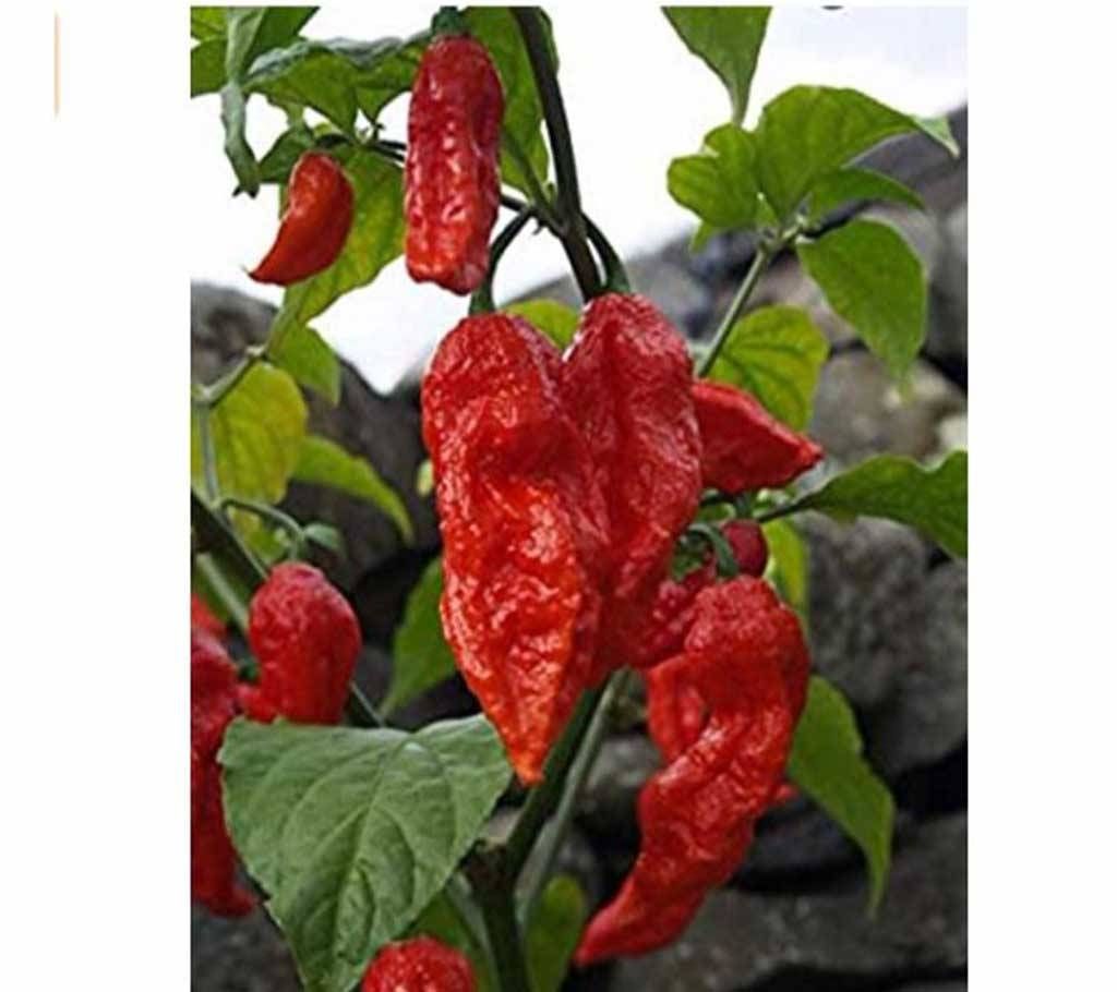 30Pcs Hotest Jolokia Red Chilli Seeds