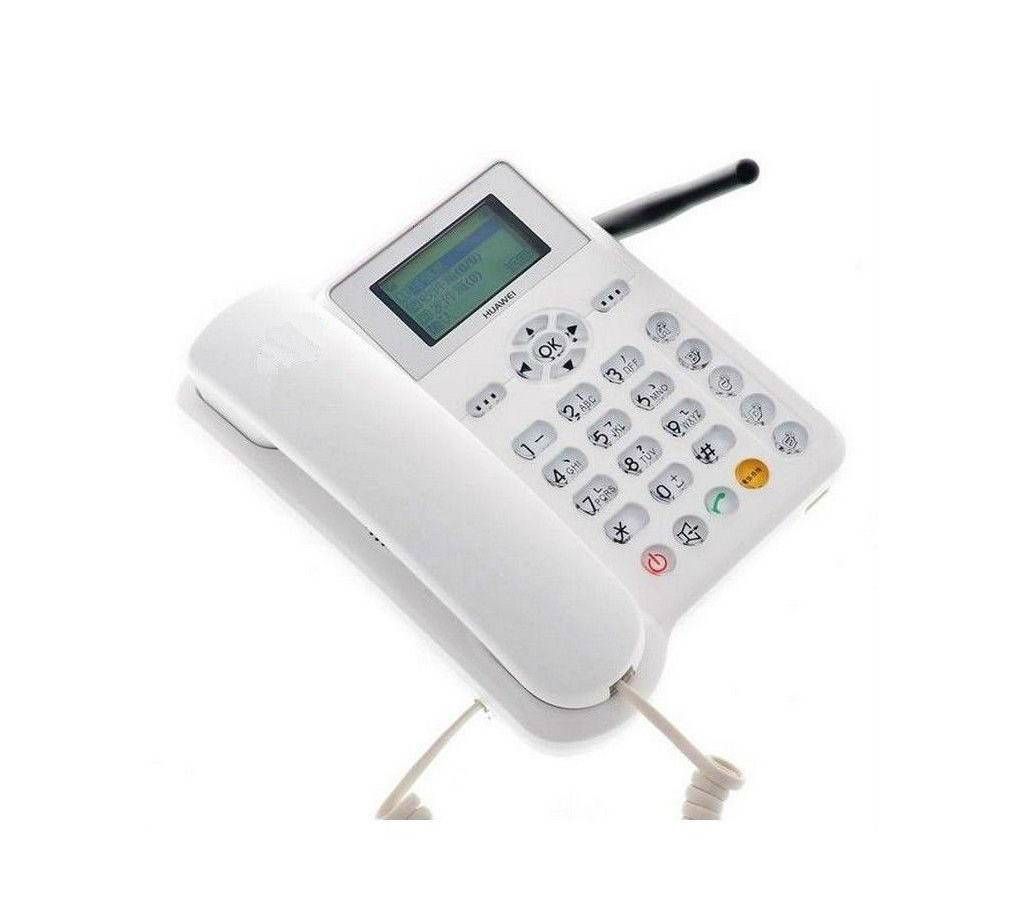 TD/GSM Wireless Telephone - White