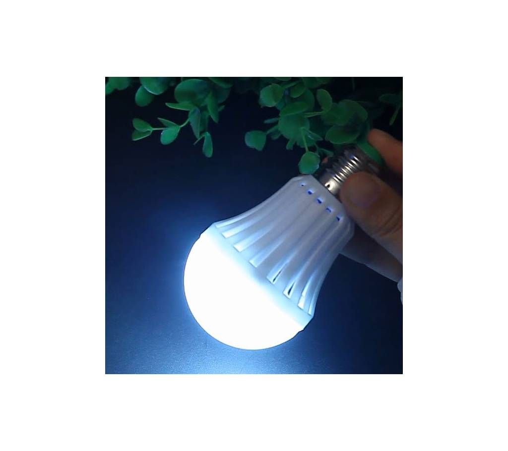 AC/DC Emergency Bulb 12W