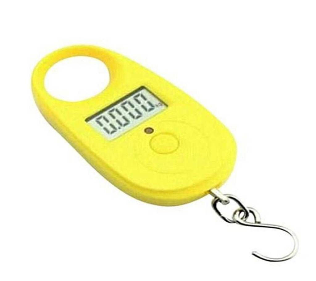 Electric Portable Scale 50kg