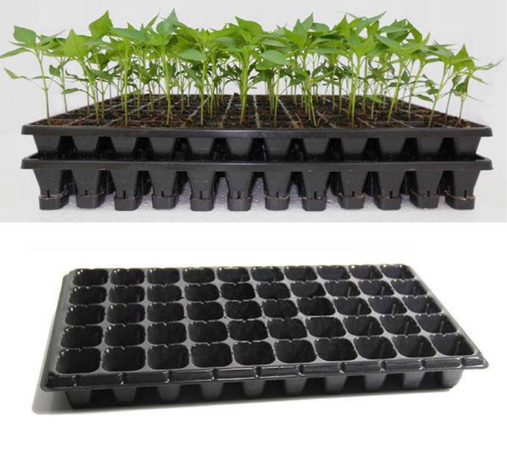 50 Cell Seedling Starter Trays For Seed Germination and Plant Propagation