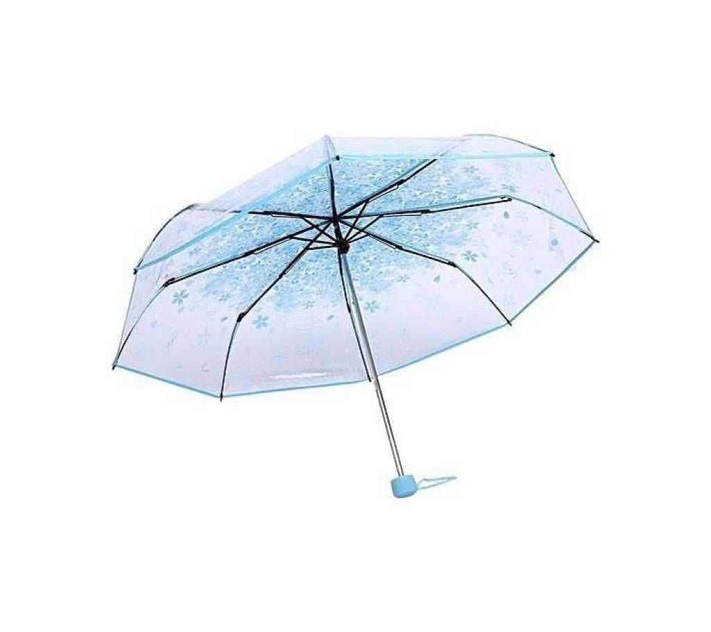 Transparent Auto-folded Umbrella- Sky Blue