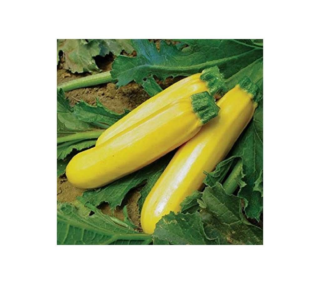 Squash - Summer Golden Girl Zucchini Hybrid - 10 pcs