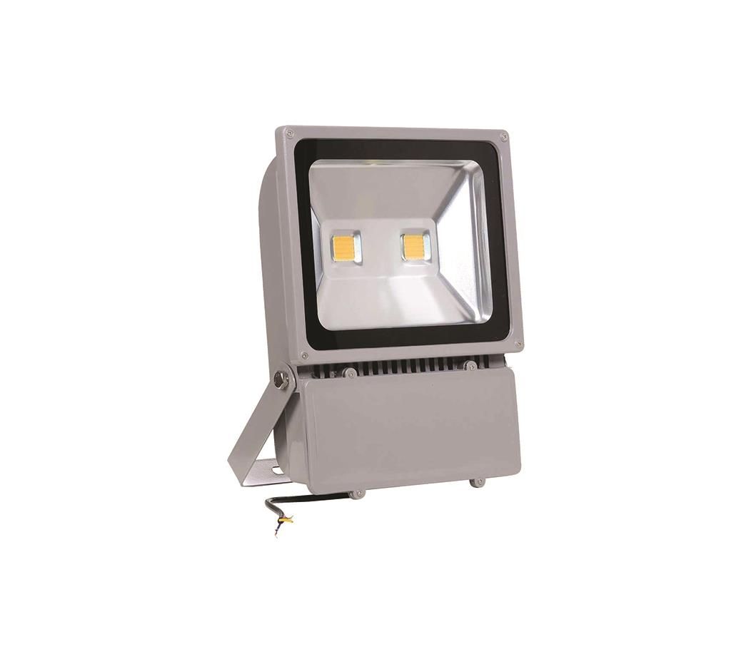 Sine Energy LED Flood Light100W