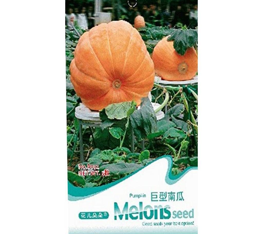 Rare Heirloom Dills Atlantic Giant Pumpkin Organic 5 Seeds/Pack