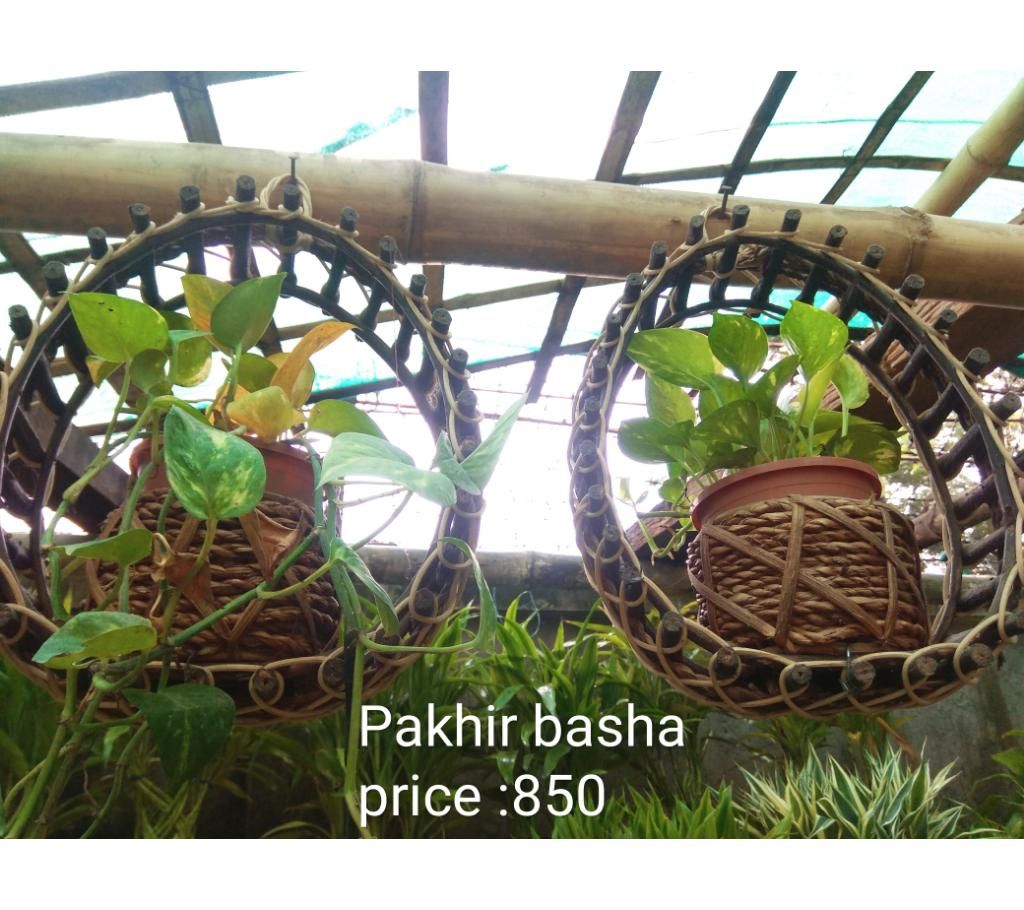 Pakhir basha