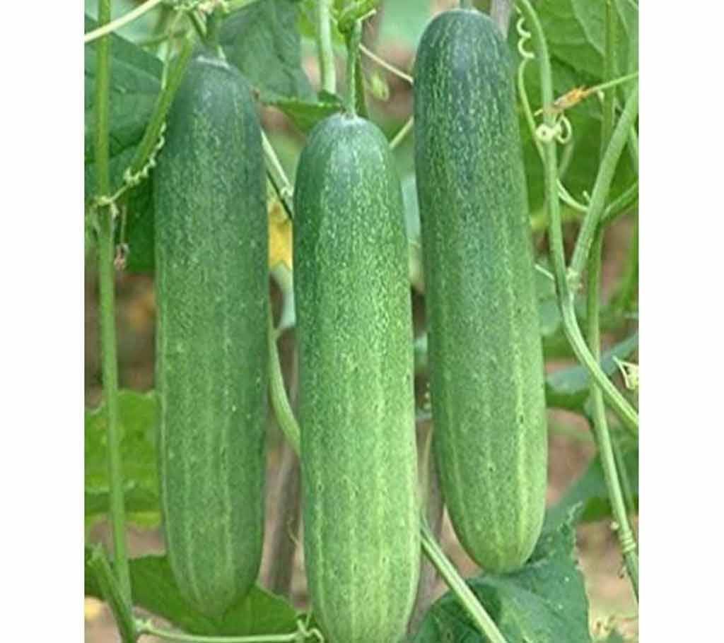 20 Pcs  F1 Hybrid Cucumber Seeds