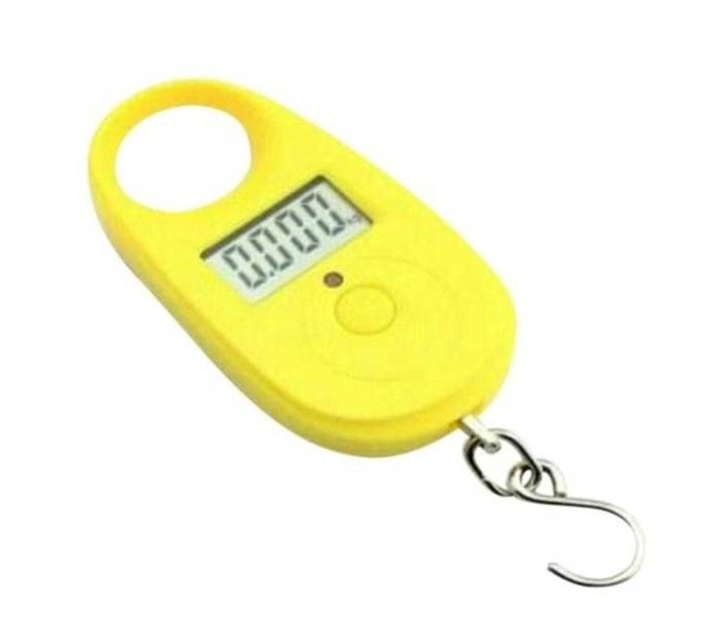 Electric Portable Scale