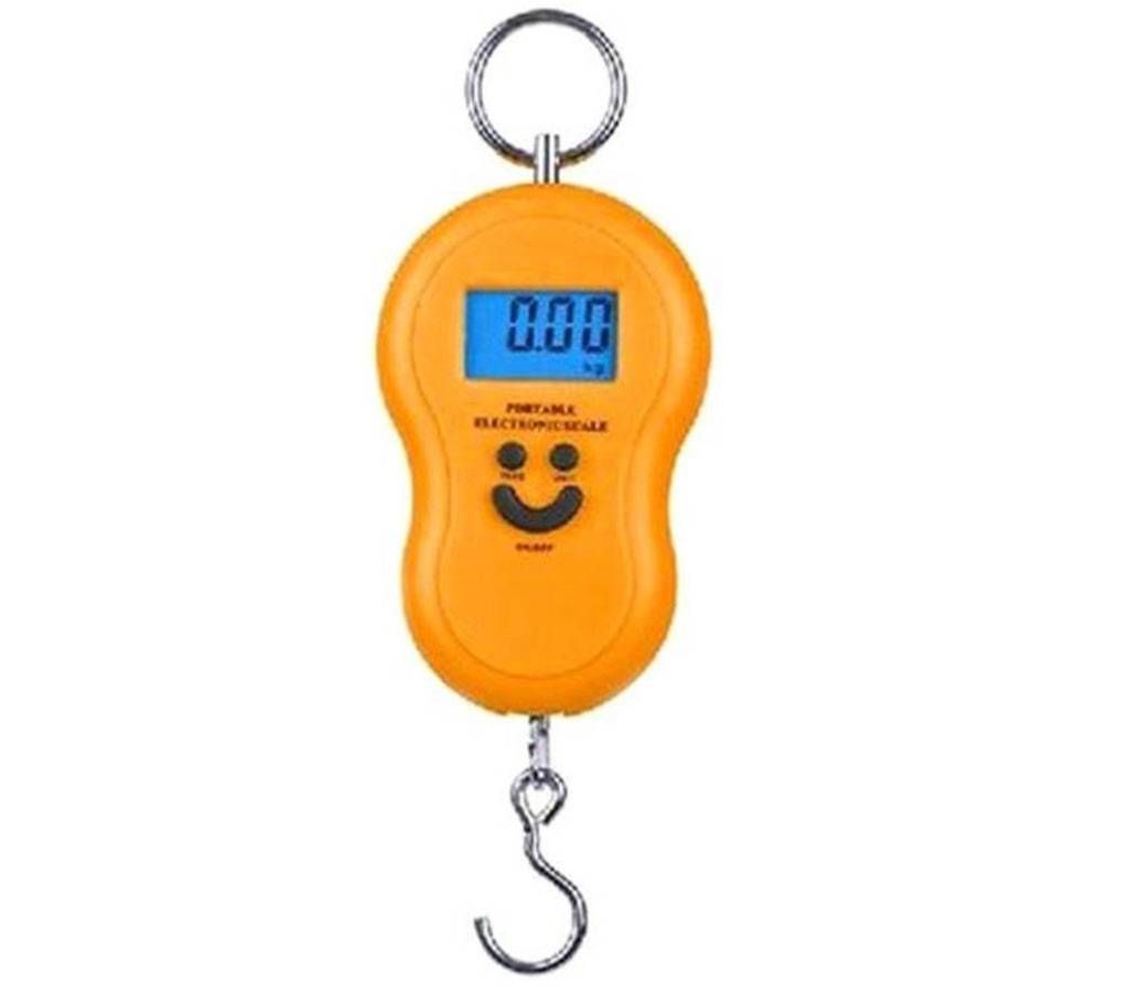 Portable Electronic Travel Scale 