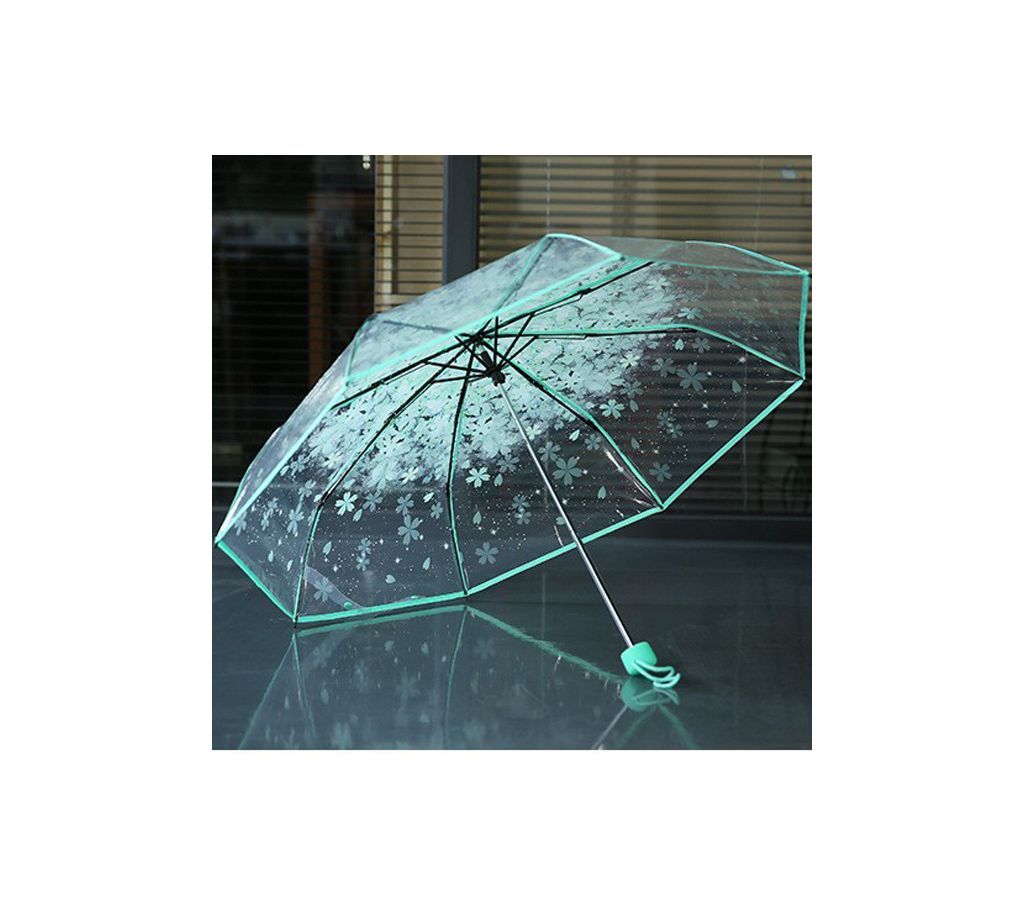 Korean Transparent Umbrella - Green