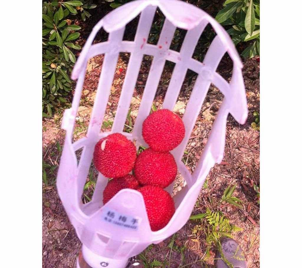 Greenhouse Plastic Fruit Picker Catche