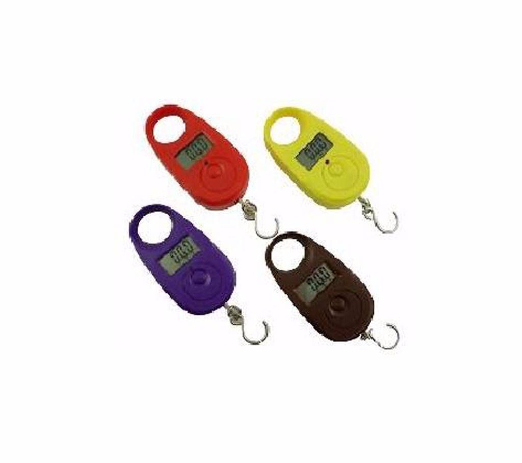 Mini Hook Weight Scale
