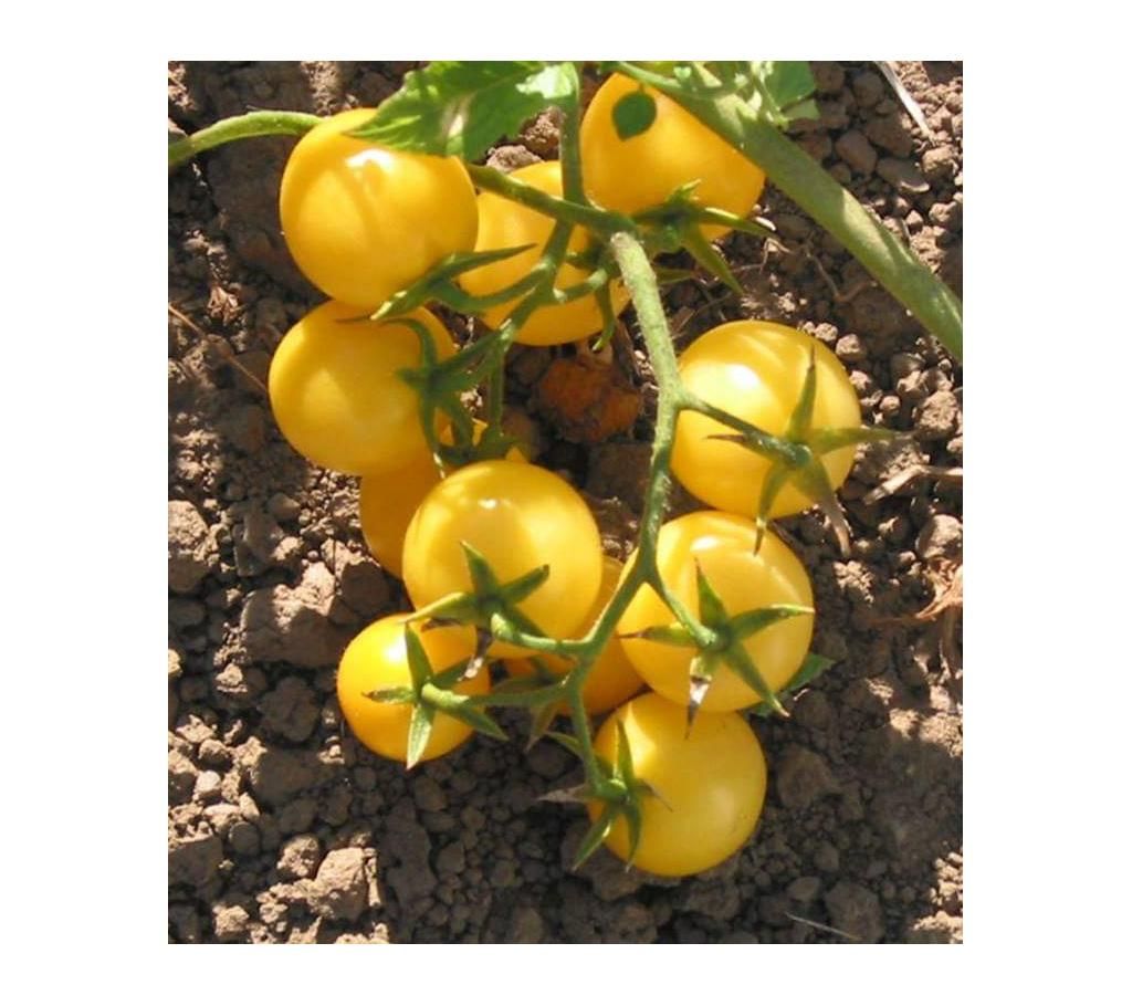 Cherry Tomato