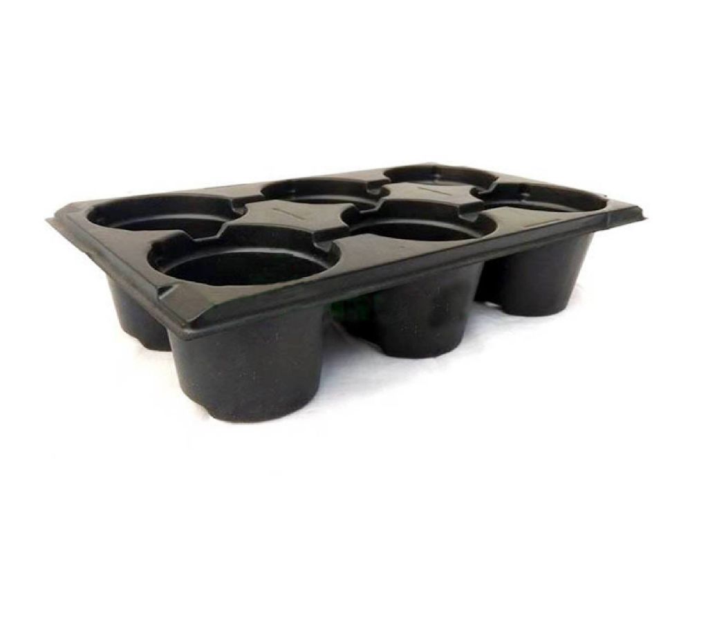 6 Cell Seedling Starter Trays For Seed Germination and Plant Propagation