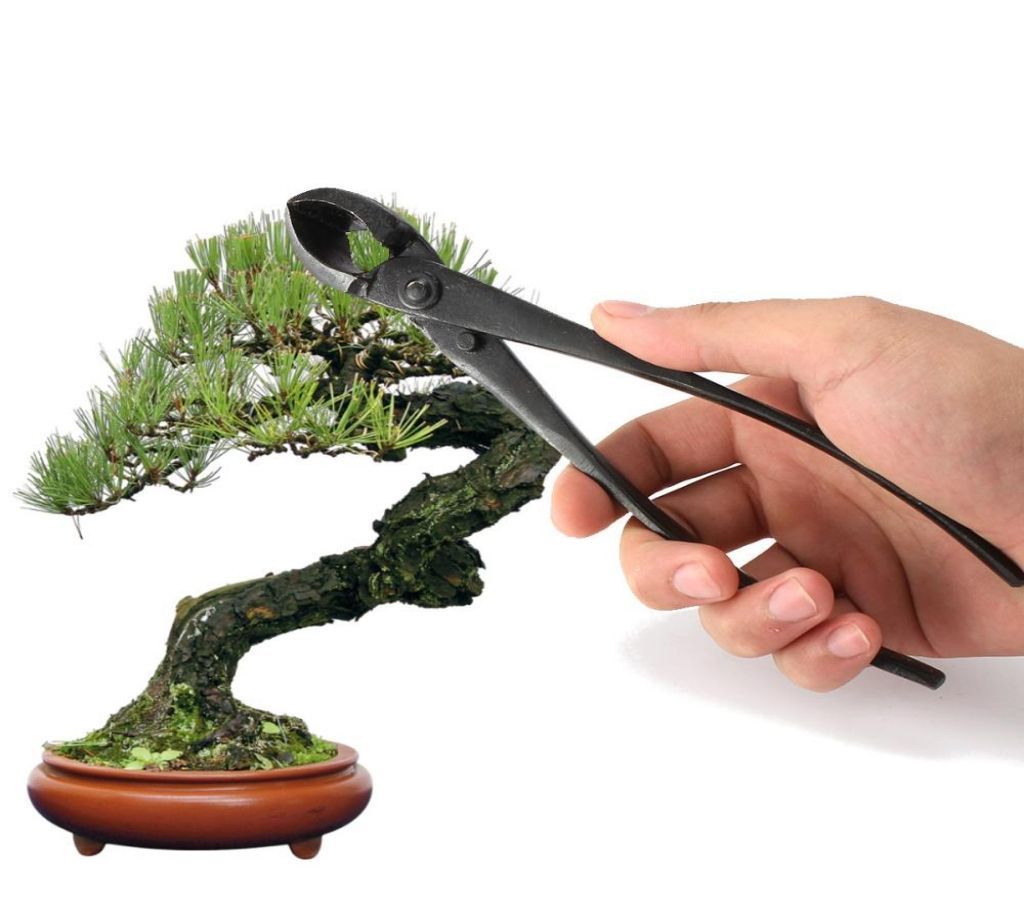 Garden Branch Cutter Beginner Bonsai Tools Forged Steel Round Edge
