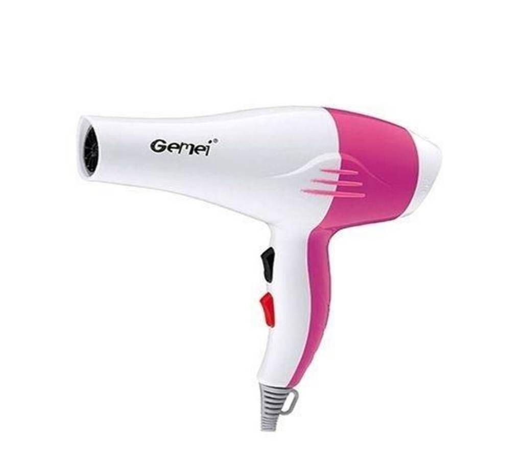 GM-1702 Hair Dryers