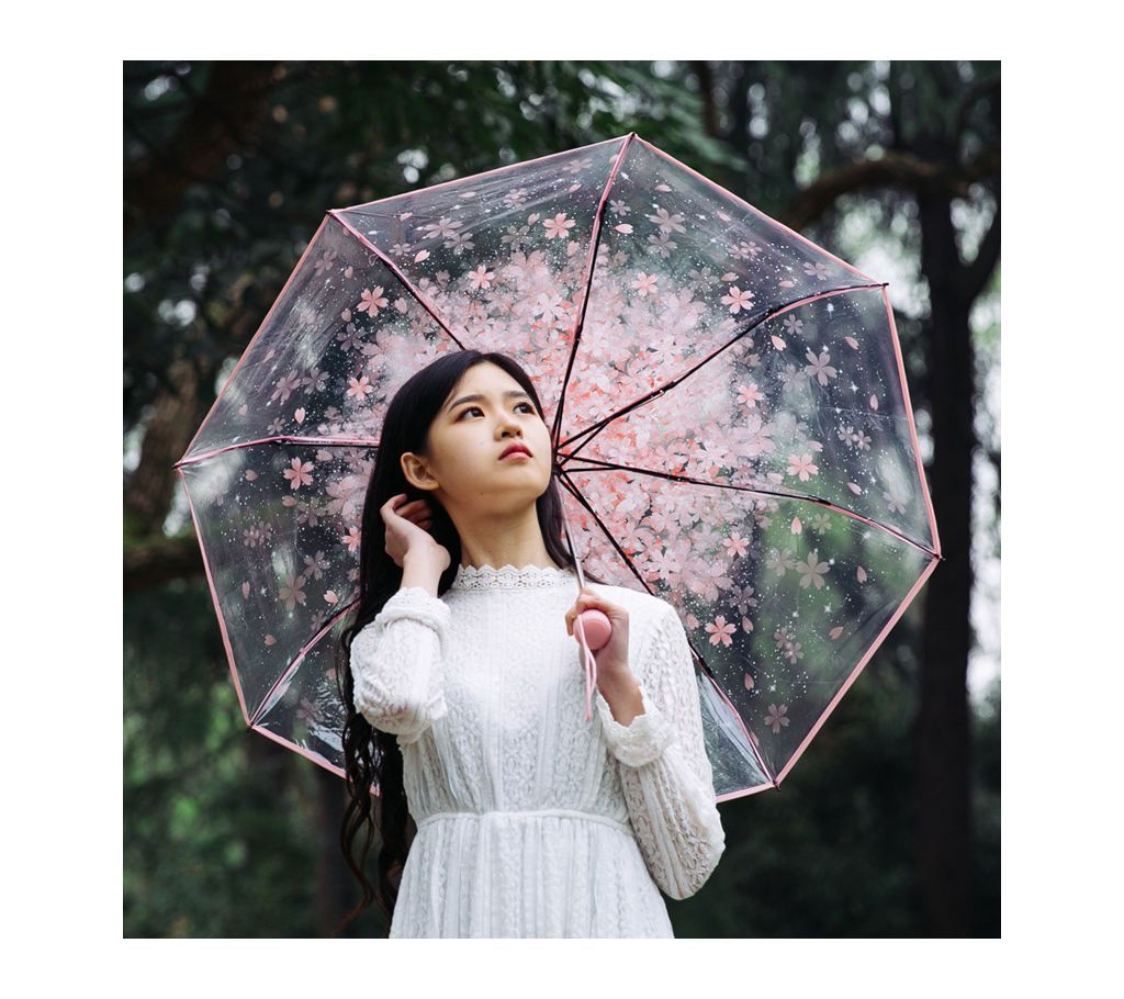Colourfull Transparent Umbrella