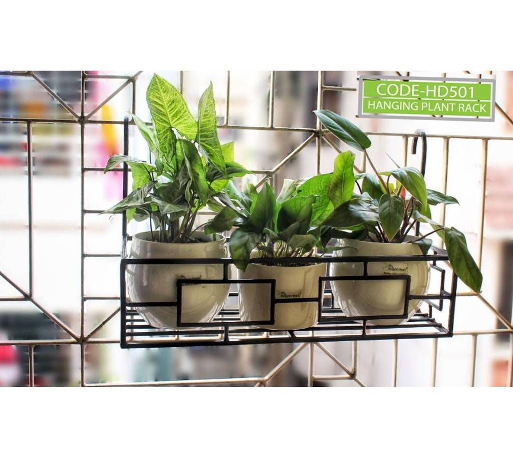 Hanging plant shelf without pot