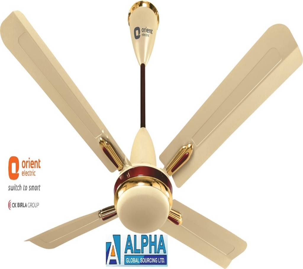 Quadro Metallic Ivory-Cherry Ceiling Fan