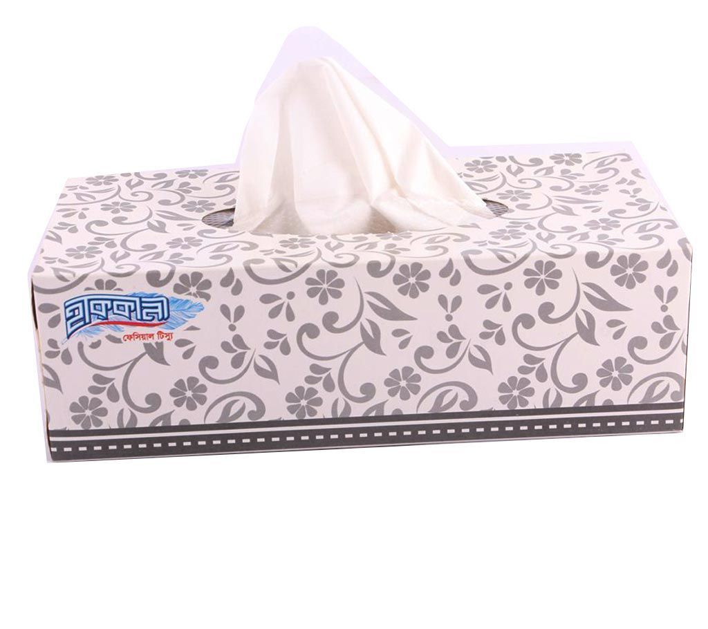 Hakkani Facial Tissue (120x2ply=240 Sheets)