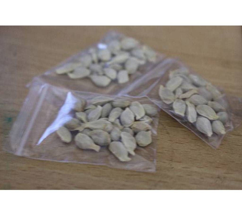 Bonsai Orange Seeds (20 pcs)