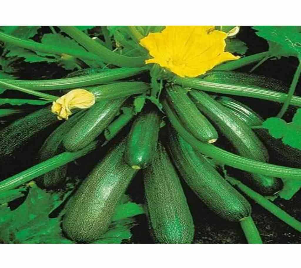Squash Seeds - 20pcs - Green-BD