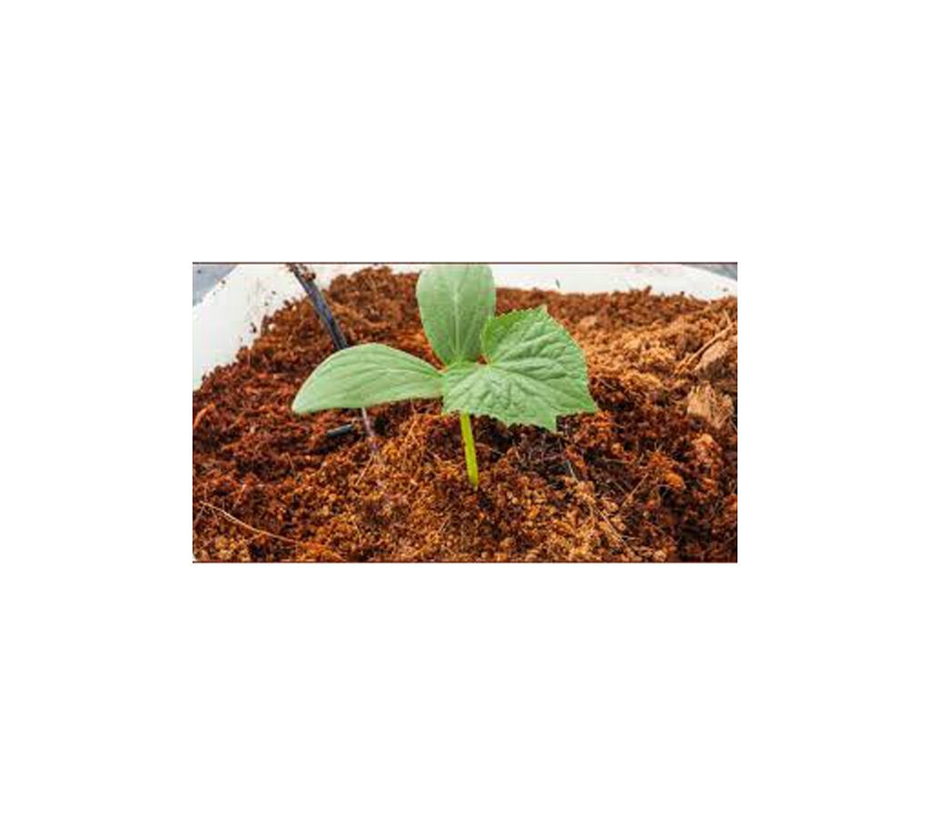 Coco Peat for Home & Outer Garden