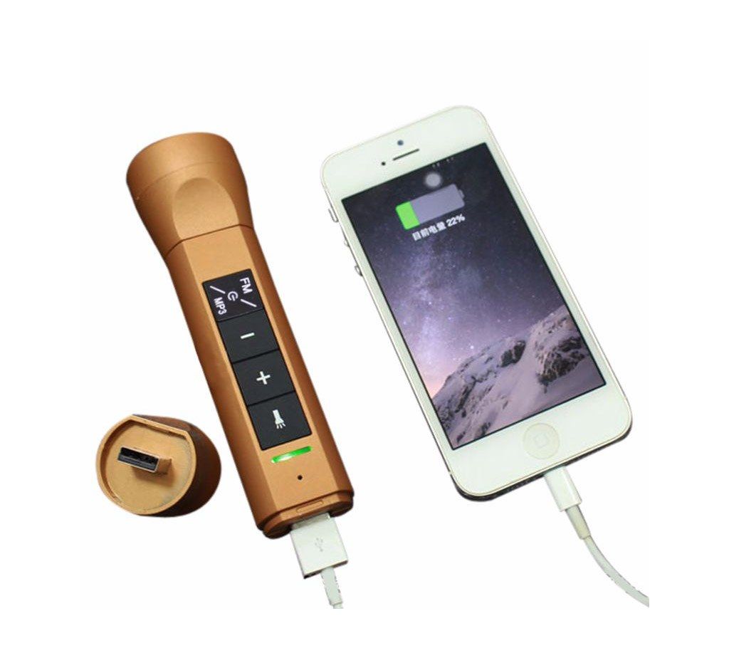 7 in 1 Musical Torch cum Power Bank