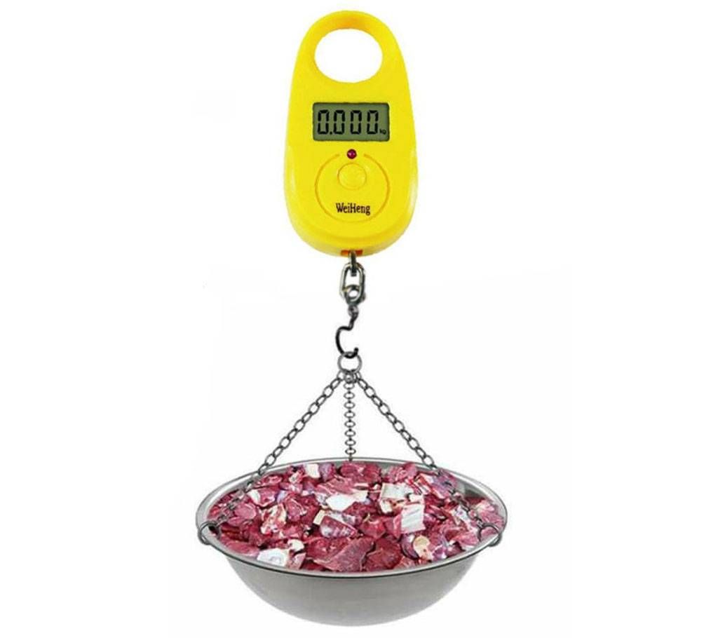 Electronic Digital Hanging Scale pocket Portable LCD Weight Weighing Scale