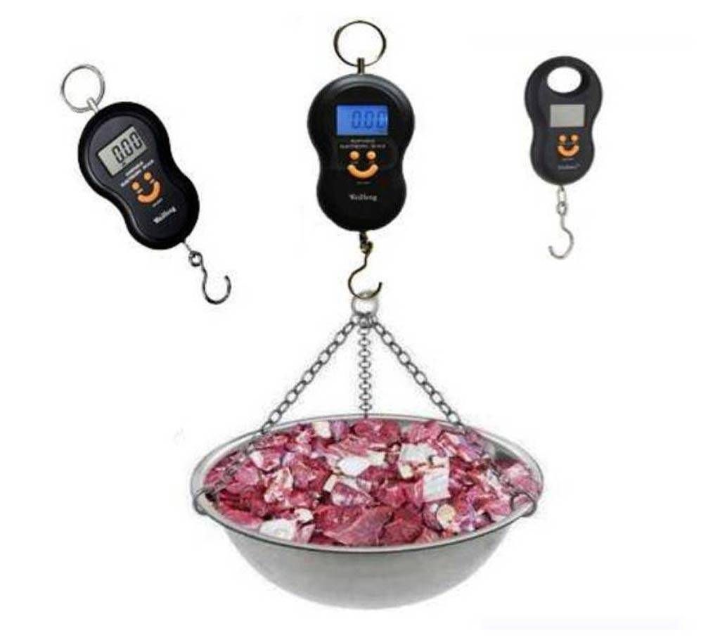 portable scale 50 kg
