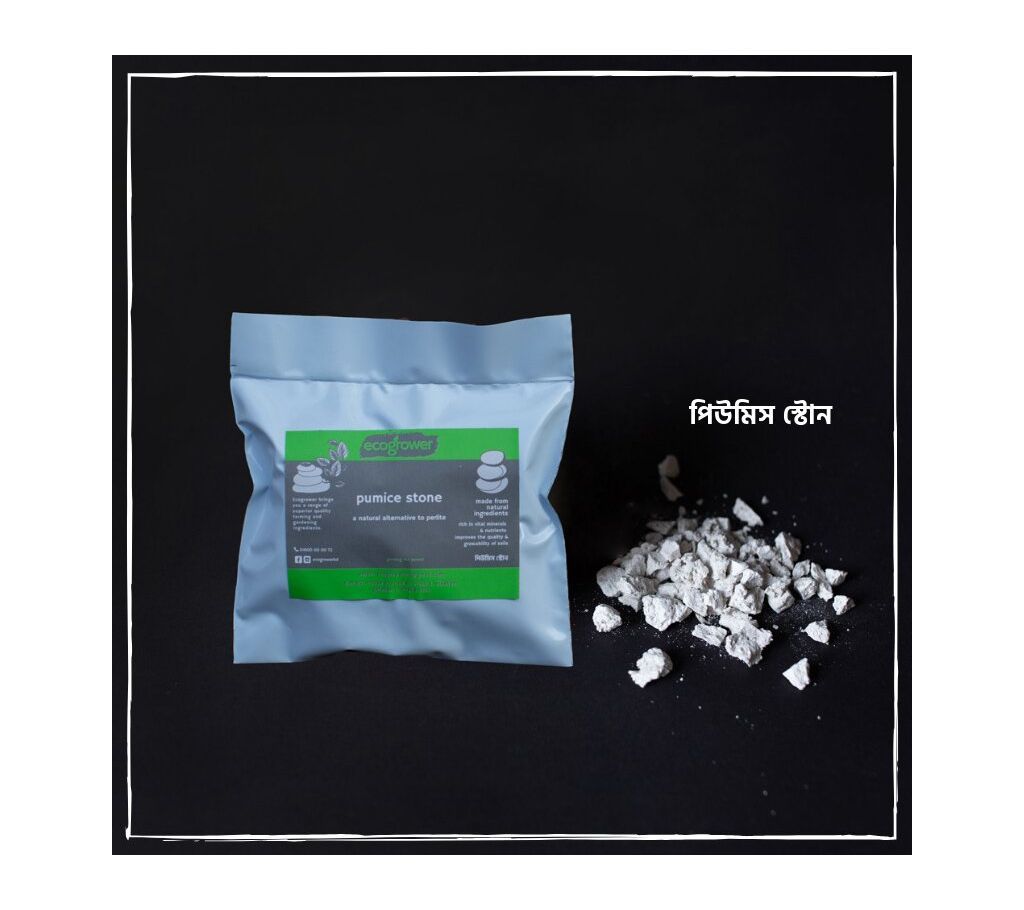 Ecogrower Pumice Stone 100 gm