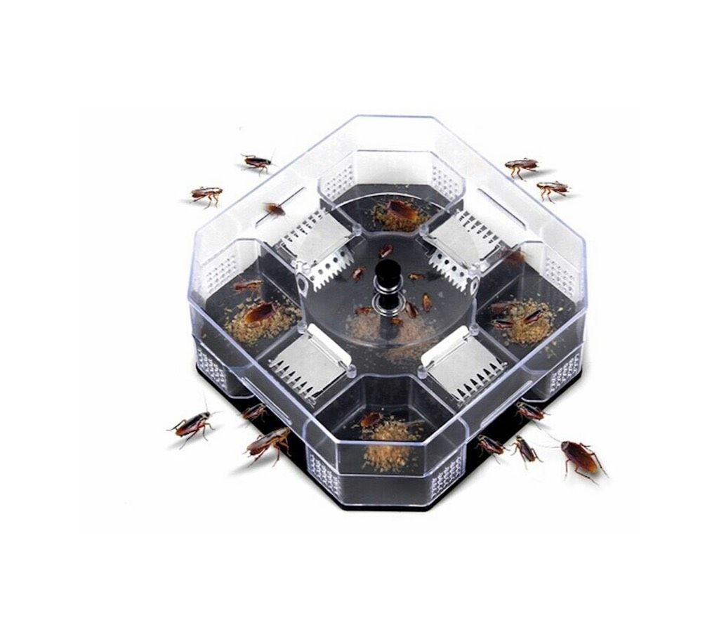 Cockroach Trap