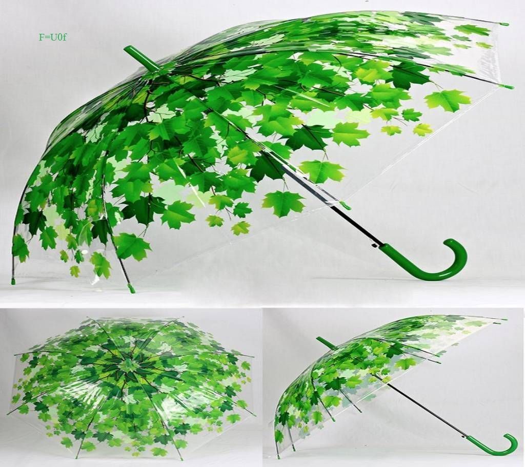 Transparent Auto Umbrella