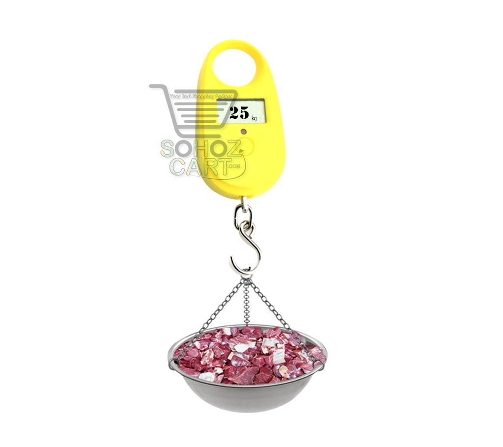 WH-A11 Fish Hook Weigh Digital Scale